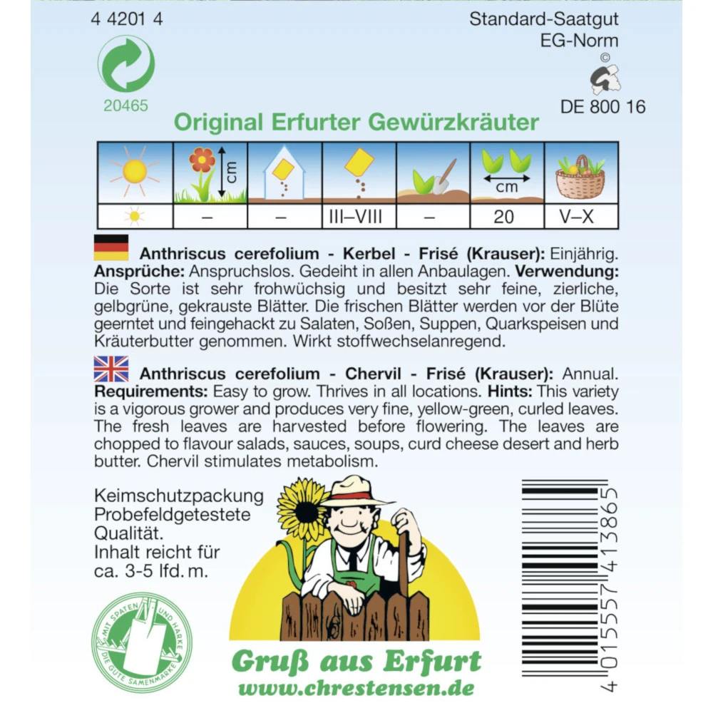 Saatgut Kerbel Gewürzkraut Einjährig – Bild 2