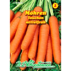 Saatgut Speisemöhre Touchon Mittelfrühe Sorte