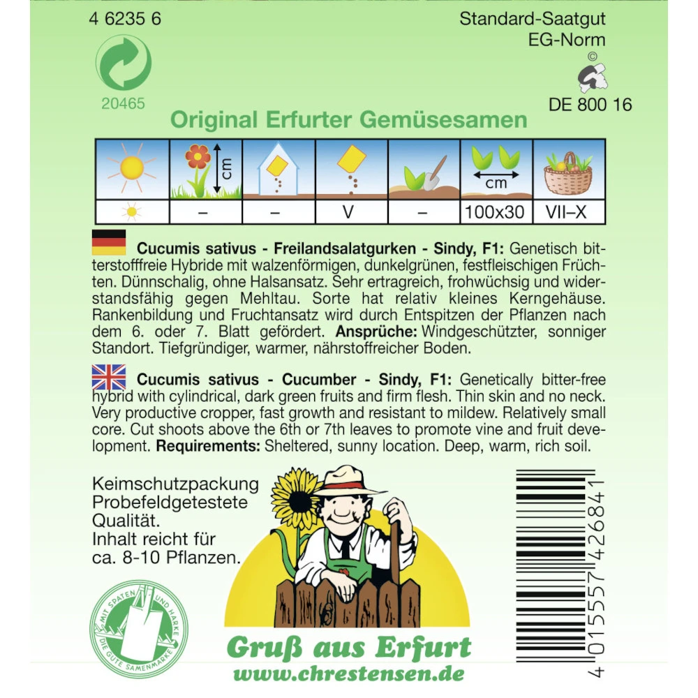 Saatgut Freilandsalatgurke Sindy F1 Ausreichend FĂŒr Ca. 8 - 10 Pflanzen â Bild 2