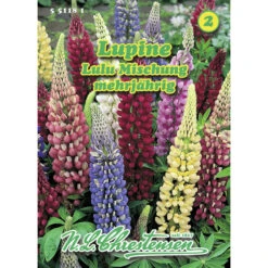 Saatgut Lupine Lulu Mischung, Standfeste Gartenstaude, Für Ca. 20 Pflanzen