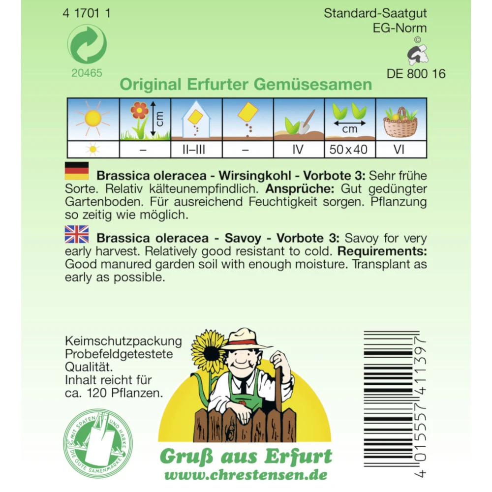 Saatgut Wirsingkohl Vorbote 3 Sehr Frühe Sorte, Für Ca. 120 Pflanzen – Bild 2