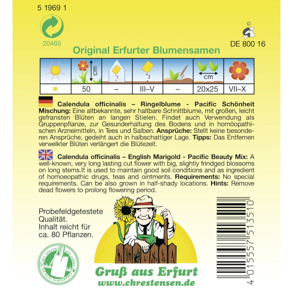 Saatgut Ringelblume-Mischung Pacific Schönheit – Bild 2