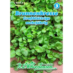 Saatgut Brunnenkresse Großblättrig Gewürzkraut Mehrjährig, Für Ca. 300 Pflanzen