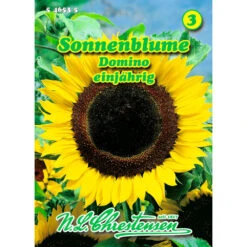 Saatgut Sonnenblume Domino Einjährig Für Ca. 25 Pflanzen