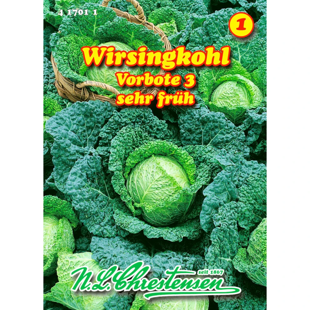 Saatgut Wirsingkohl Vorbote 3 Sehr Frühe Sorte, Für Ca. 120 Pflanzen