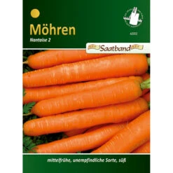 Saatgut Möhren Nantaise 2, Ca. 2 Meter Saatband, Mittelfrüh Und Süß