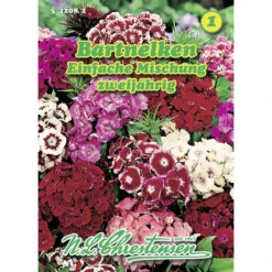 Saatgut Bartnelken Einfache Mischung Zweijährig, Für Ca. 250 Pflanzen