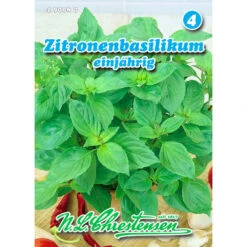 Saatgut Zitronenbasilikum GewĂŒrkraut EinjĂ€hrig