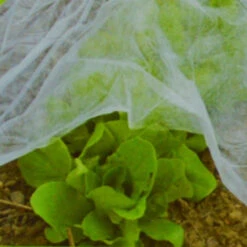 Gartenvlies 10x1,5m 17g/m²