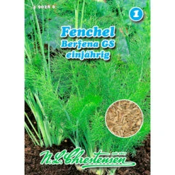 Saatgut Fenchel Berfena GS Gewürkraut Einjährig, Für Ca. 50 Pflanzen