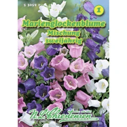 Saatgut Marienglockenblumen Mischung Zweijährig