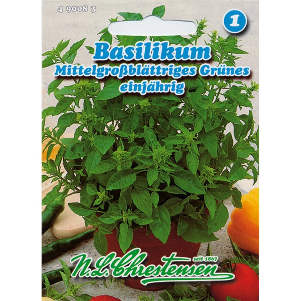 Basilikum Mittelgroßblättriges Grünes Ideal Zum Würzen