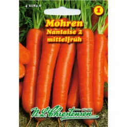 Speisemöhre „Nantasie 2“, Robust Gegen Krankheiten Und Schädlingen
