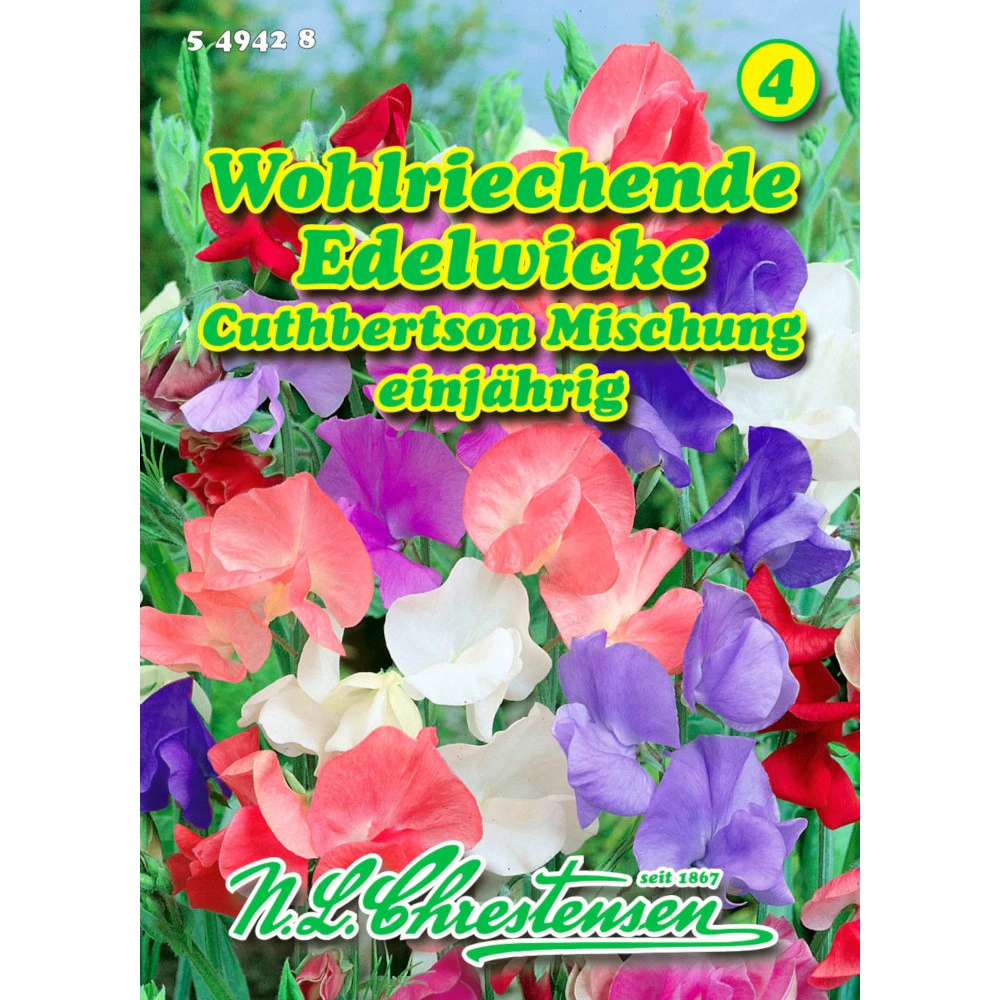 Saatgut Lathyrus Edelwicken Cuthbertson Prachtmischung, Reicht FĂŒr Ca. 30 Pflanzen
