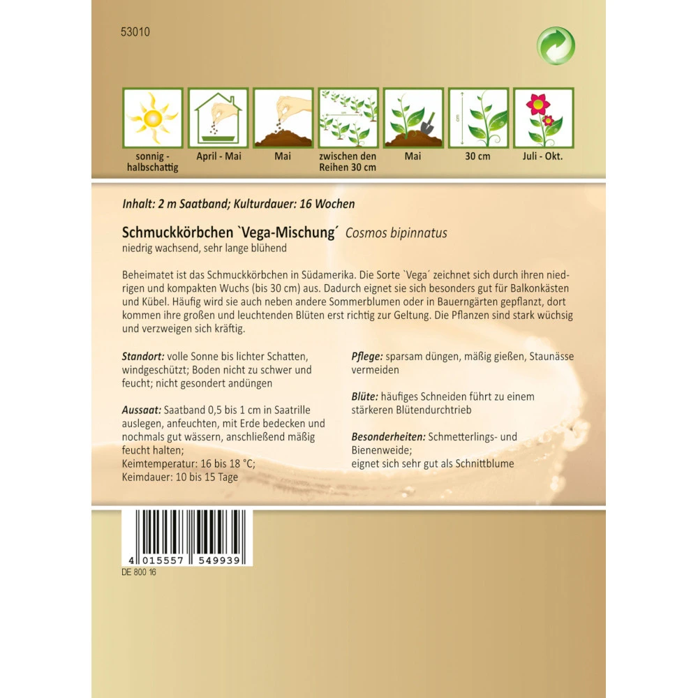 Saatgut Schmuckkörbchen Vega-Mischung, Ca. 2 Meter Saatband, Lange Blühend – Bild 2