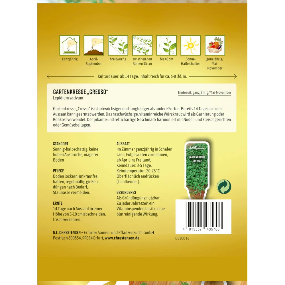 Saatgut Gartenkresse Cresso Großblättrig Für Ca. 6-8 Laufende Meter – Bild 2