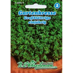 Schnittpetersilie Gigante D´Italia Für Ca. 4-5 Laufende Meter Gartenfläche