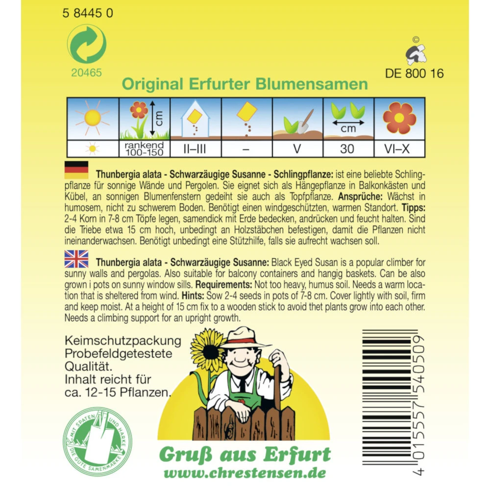 Saatgut Schwarzäugige Susanne Einjährig Für Ca. 12-15 Laufende Meter – Bild 2