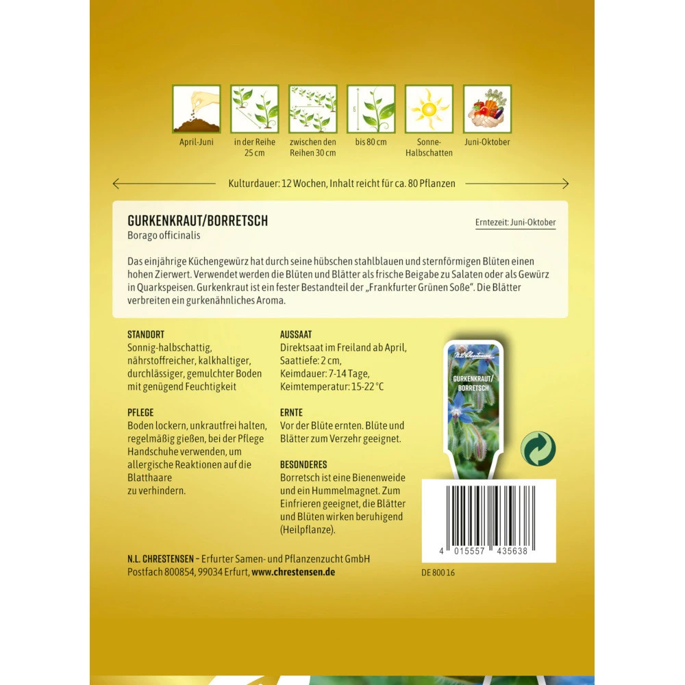 Saatgut Gurkenkraut Borretsch FĂŒr Ca. 80 Pflanzen â Bild 2