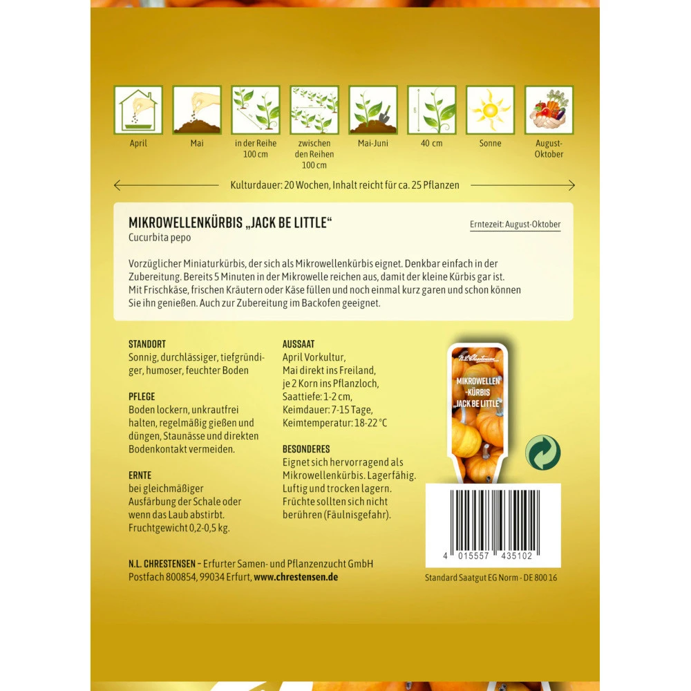 Saatgut Mikrowellen-Kürbis Jack Be Little – Bild 2