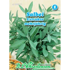 Saatgut Salbei Extrakta Ertragreich Mit Heilwirkung, Für Ca. 70 Pflanzen