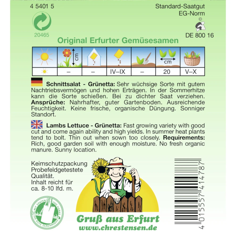Saatgut Schnittsalat Grünetta Ertragreich Für Ca. 8-10 Laufende Meter – Bild 2