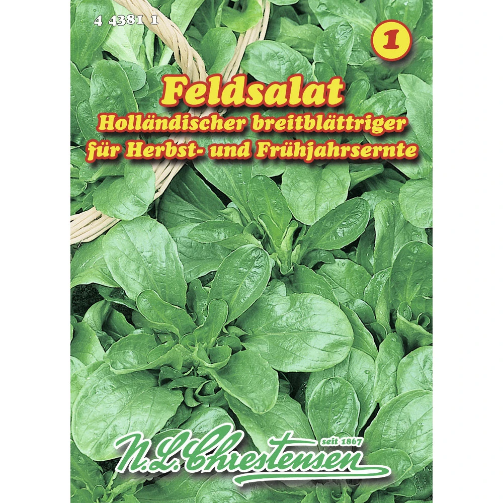 Saatgut Feldsalat Holländischer Breitblättriger