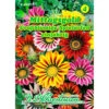 Saatgut Gazania-Hybrid Großblumig