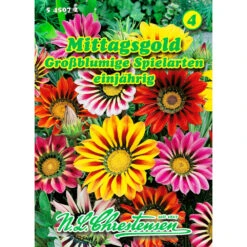 Saatgut Gazania-Hybrid Großblumig