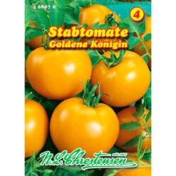 Saatgut Stabtomate Goldene Königin Gelb, Reicht Für Ca. 80 Pflanzen