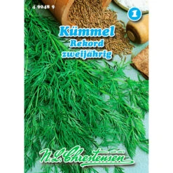 Saatgut Kümmel Rekord Gewürzkraut Zweijährig