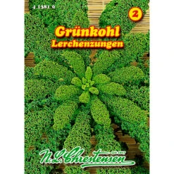 Saatgut Grünkohl Lerchenzungen, Reicht Für Ca. 200 Pflanzen