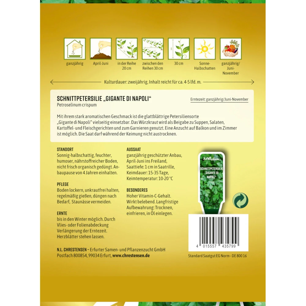 Saatgut Schnittpetersilie Gigante Di Napoli FĂŒr Ca. 4-5 Laufende Meter â Bild 2