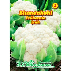 Saatgut Blumenkohl Frühernte, Reicht Für Ca. 70 Pflanzen