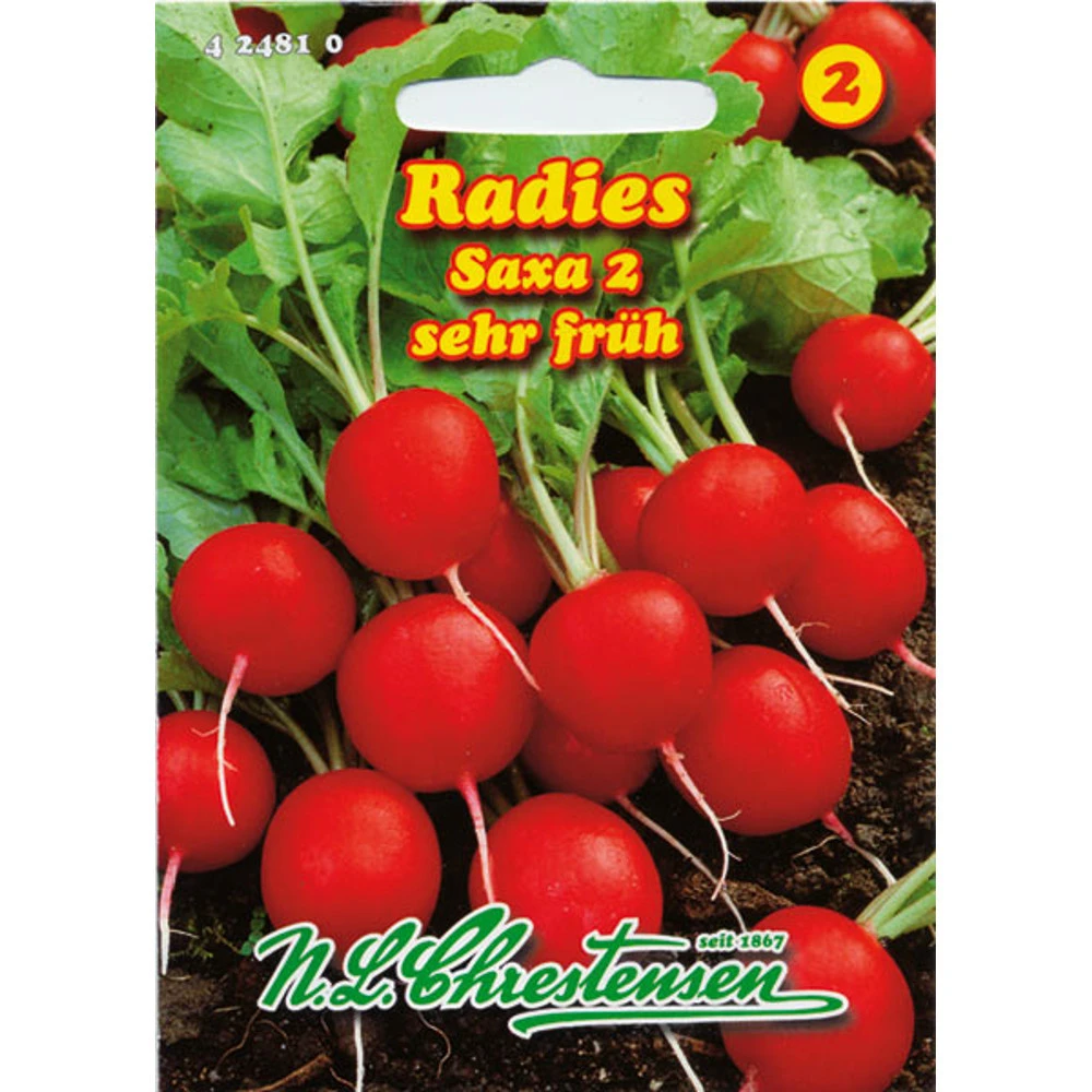 Radies Saxa 2 Saatgut FĂŒr 6-8 Laufende Meter