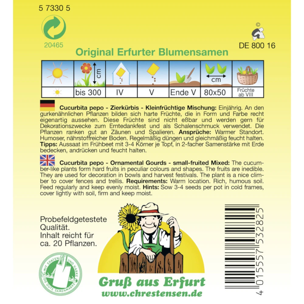 Saatgut Zierkürbis Kleinfrüchtige Mischung – Bild 2