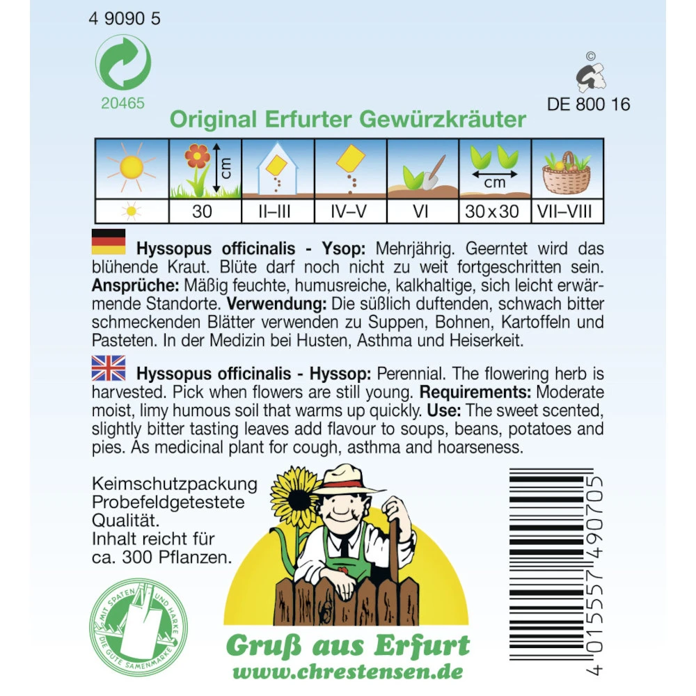 Ysop Saatgut PG 2 – Bild 2