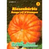 Saatgut Riesenkürbis Rouge Vif D' Etampes Frosthart, Für Ca. 3 – 5 Pflanzen