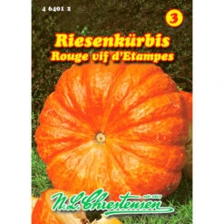Saatgut Riesenkürbis Rouge Vif D' Etampes Frosthart, Für Ca. 3 – 5 Pflanzen