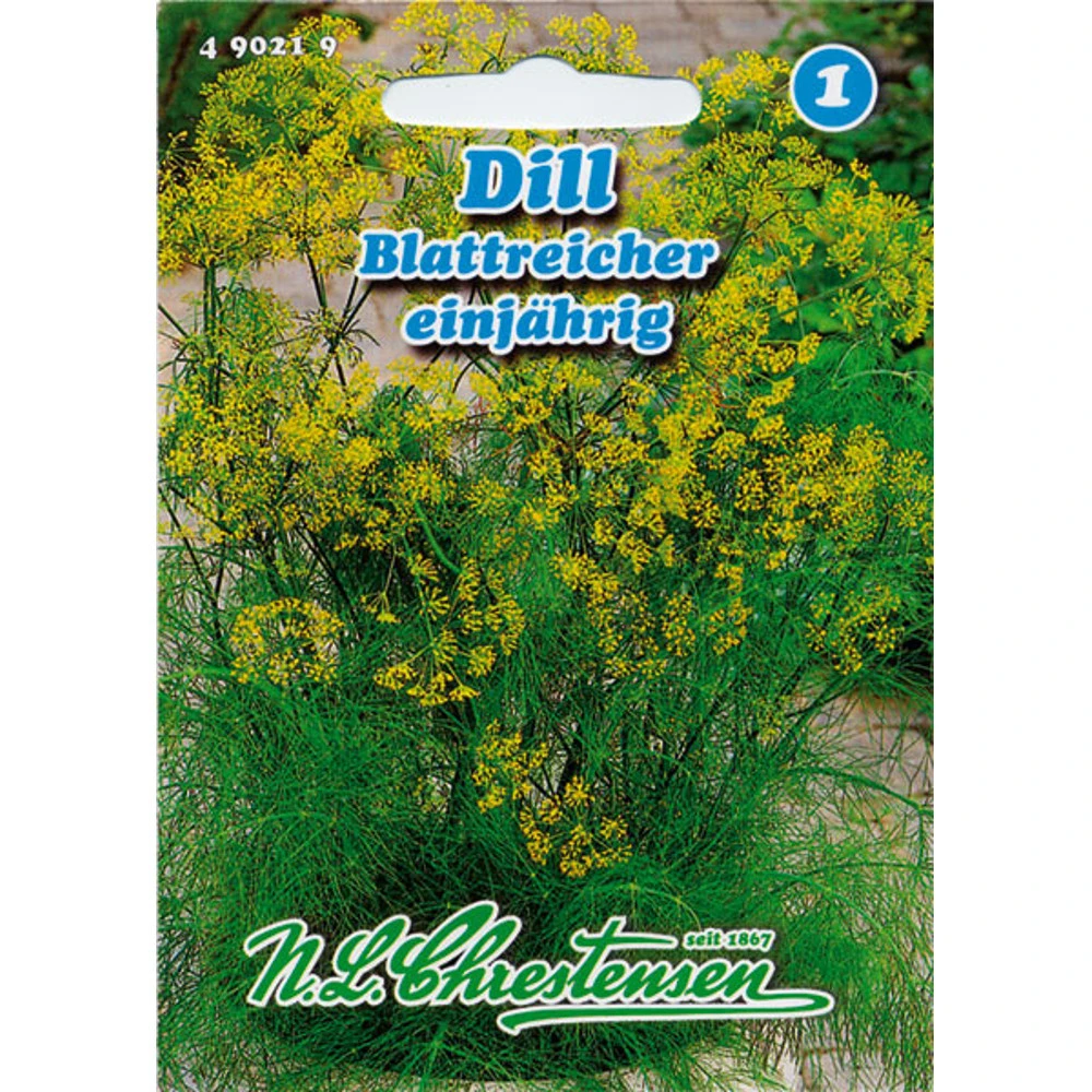 Saatgut Dill Blattreicher Würzigem Für 4-5 Laufende Meter