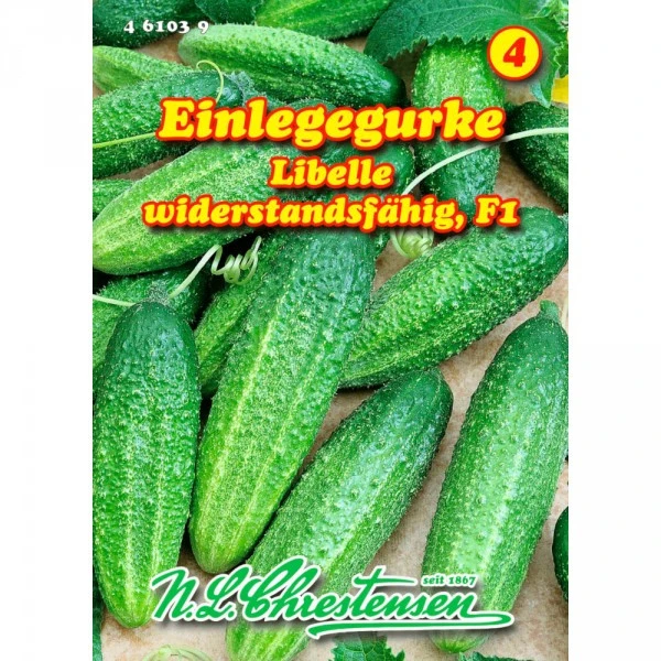 Saatgut Einlegegurke Libelle F1, Widerstandfähig Für Ca. 50 M²