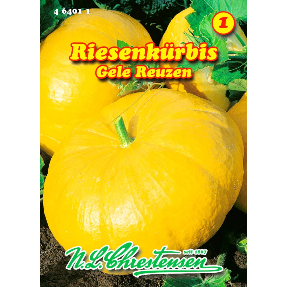 Saatgut Riesenkürbis Gele Reuzen Gelb, Für Ca. 3 – 5 Pflanzen