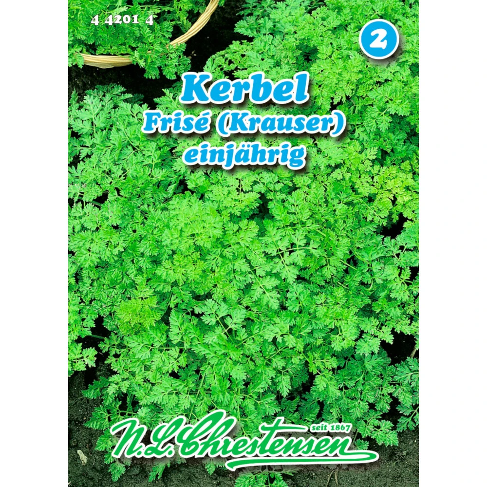 Saatgut Kerbel Gewürzkraut Einjährig
