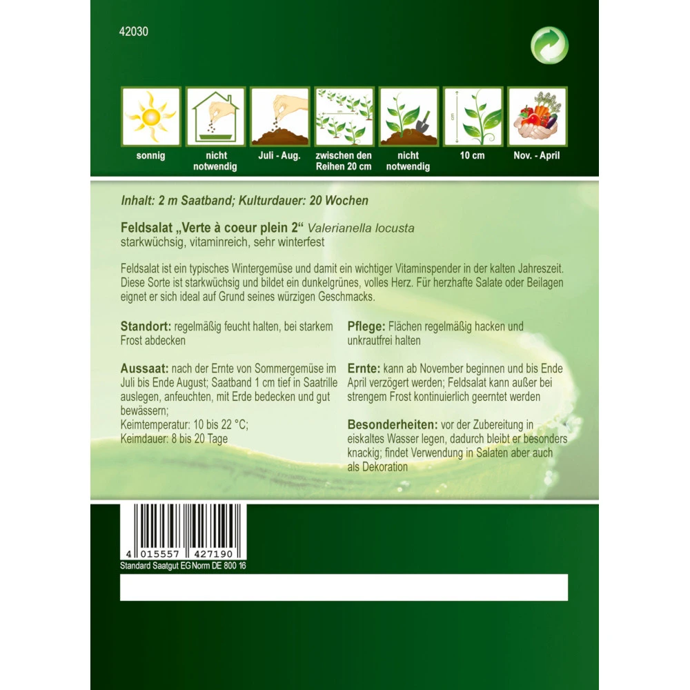 Saatgut Feldsalat Verte Ă Coeur Plein 2, Ca. 2 Meter Saatband, Sehr Winterfest â Bild 2