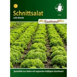 Saatgut Schnittsalat Lollo Bionda, Ca. 2 Meter Saatband, Italienische Spezilaität